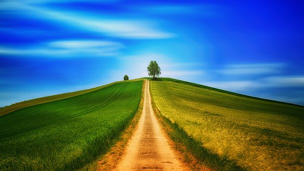 away 3408119 340.pixabay.28.08.2020