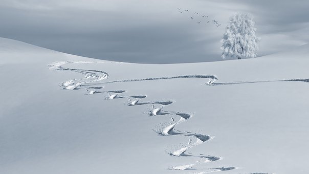 foto av snø