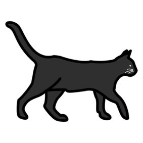 Illustrasjon av en svart katt