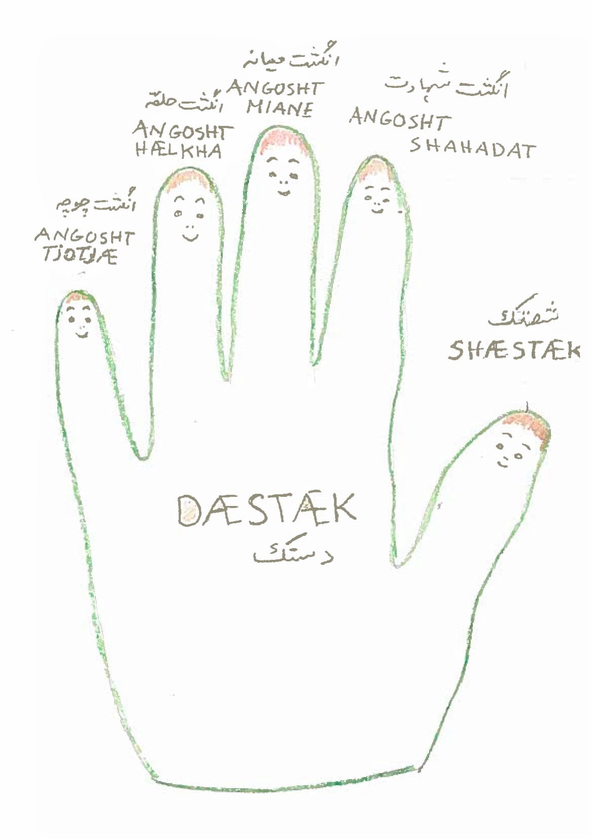 Tegning av en hånd med finger navn på dari