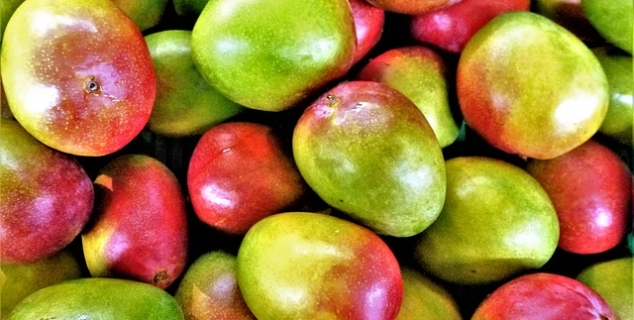nærbilde av mange mangoer