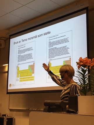 Kristin Fargerheim peker på en skjerm med et dokument fra Tema Morsmål
