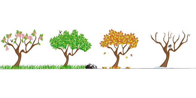 Tegning som viser et tre i alle årstidene