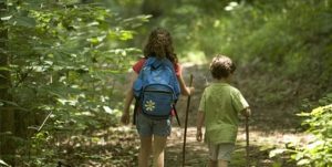Bilde i farger. To barn går i skogen og holder en stokk i den ene hånda si.