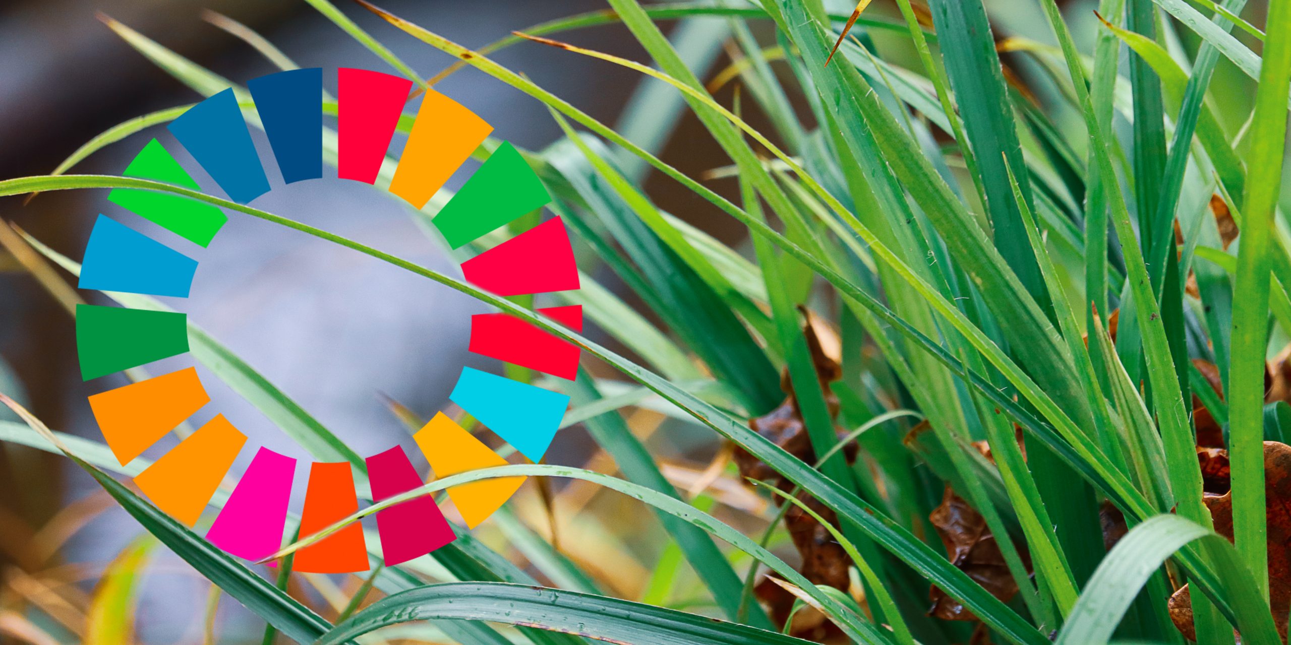 Fargesirkel som illustrerer FNs bærekreaftsmål