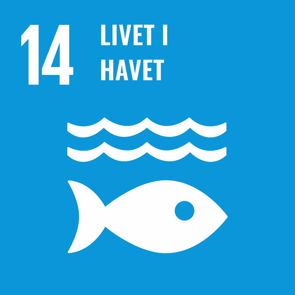 Ikon. FNs bærekraftsmål nummer 14. Tegning av en fisk som svømmer. Tekst: Livet i havet.