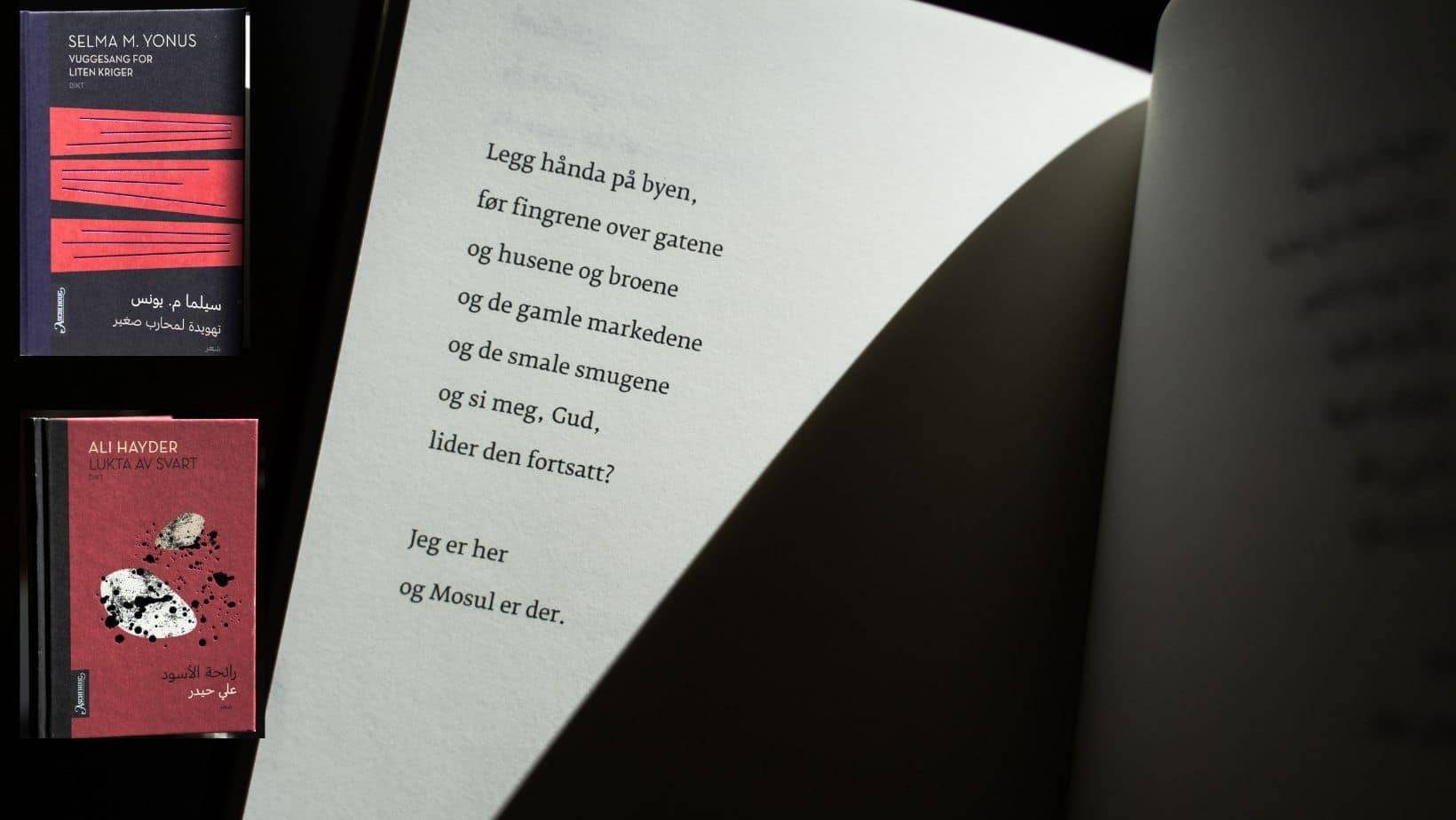 Bilde av en bok med dikt