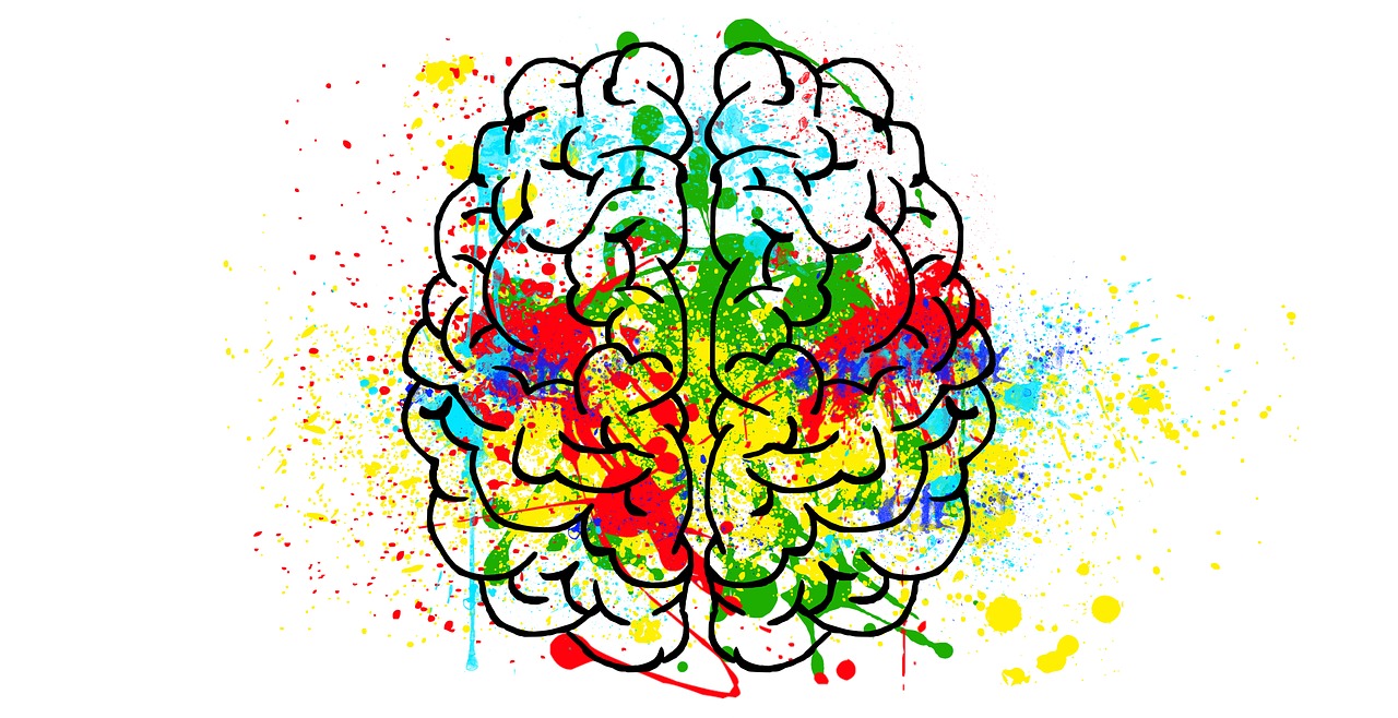 Illustrasjon av menneskehjerne, farger