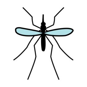 illustrasjon av en mygg