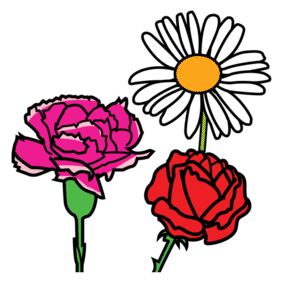 illustrasjon av tre blomster