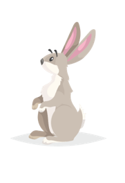 illustrasjonsbilde av en hare