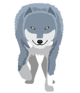 illustrasjonsbilde av en ulv