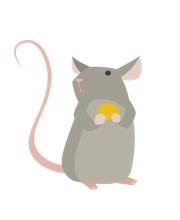 illustrasjonsbilde av en mus