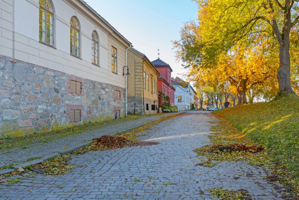 Foto av brosteinsbelagt gate med hus på venstre side og en voll på høyre side. På vollen er det gamle trær. Det er høst og det ligger gule og oransje blader på vollen og i gata.