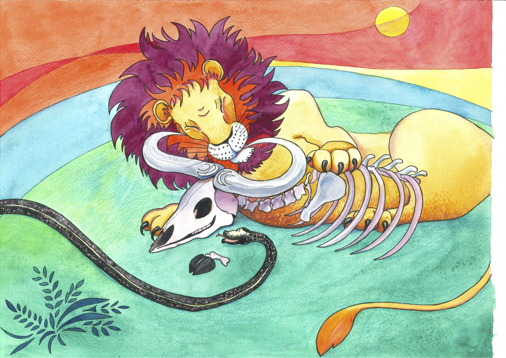 Løven ligger ved et skjelett og har spist opp hele oksen.