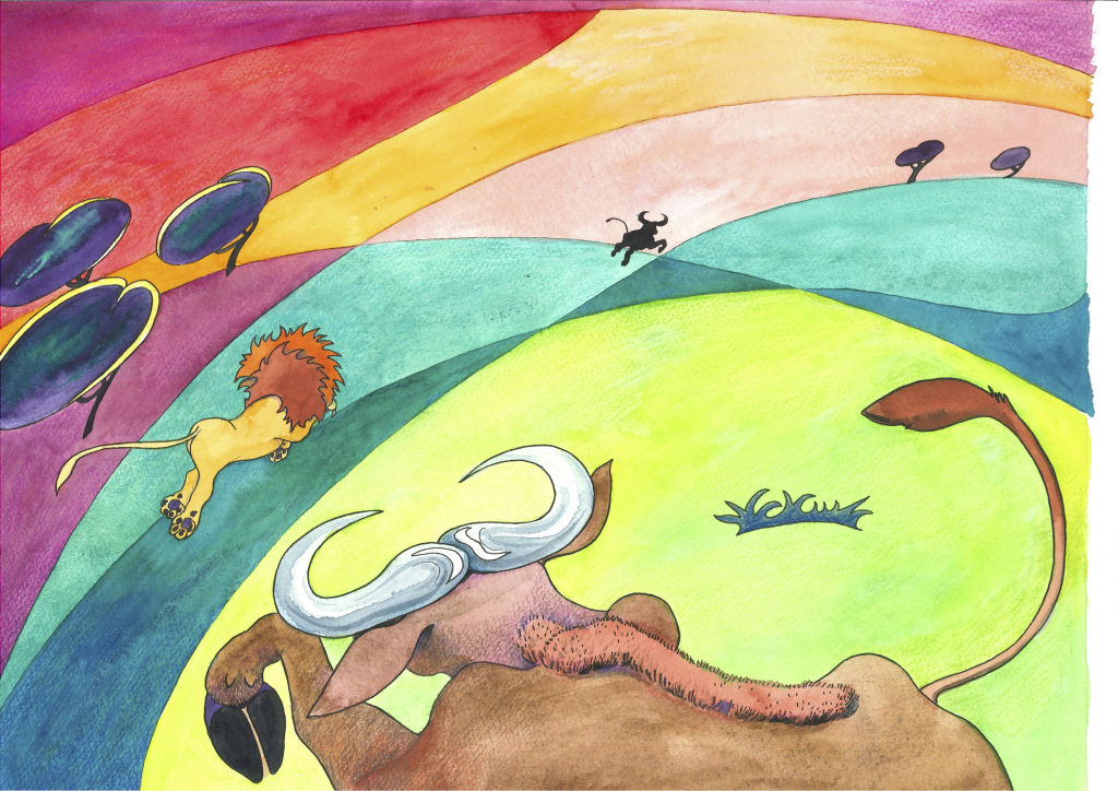 Den brune oksen løper med løven. De lager bort den sorte oksen som løper avgårde.