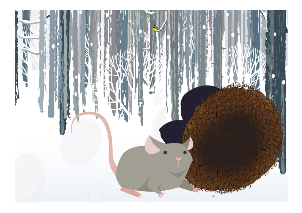 En mus står foran votten