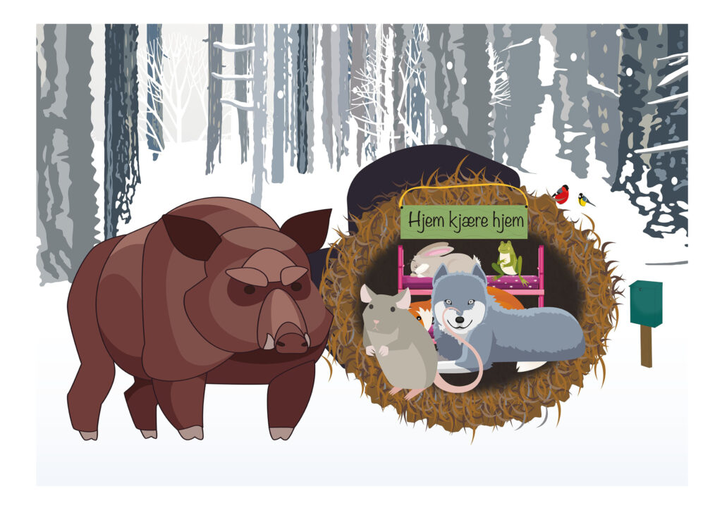 Villsvinet står utenfor votten og titter inn i votten