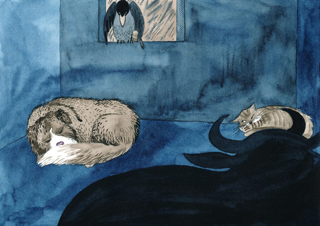 Dyrene sover inne i huset.