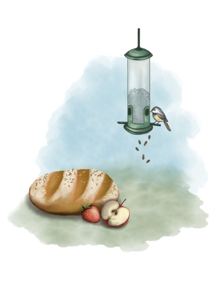 Illustrasjon av et brød med frø, et halv eple med frø, et jordbær med frø og en fugl som sitter på en fuglemater og spiser frø