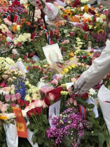 Bilde av mange blomster